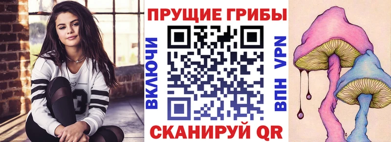 Псилоцибиновые грибы GOLDEN TEACHER  Купить где  Козельск 